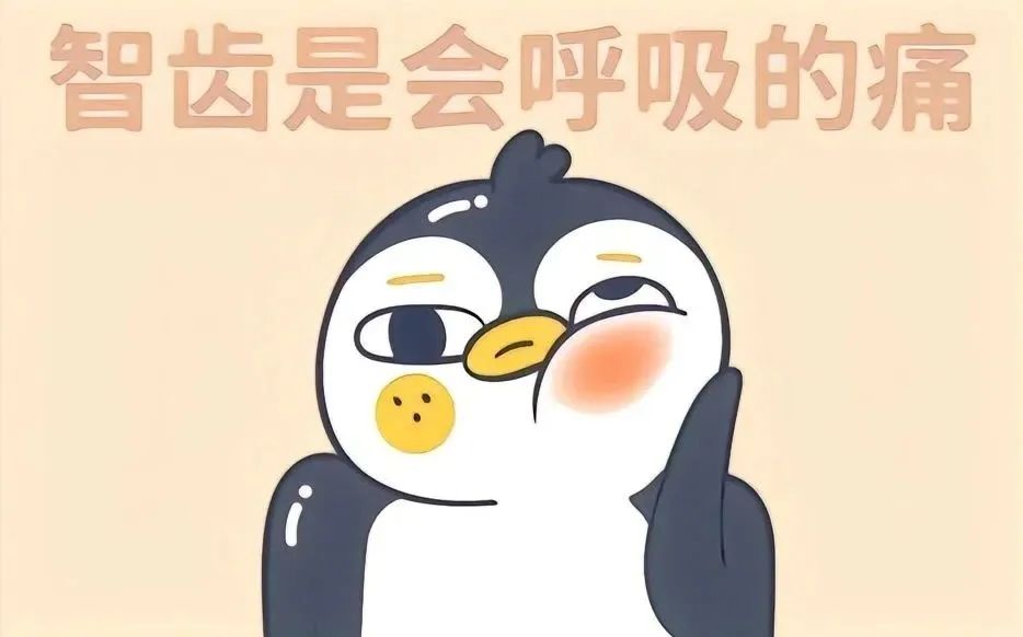 夏天，喝冰的吃辣的，智齿痛怎么办？